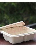 650ml Compostable Container w/Lid-Rect