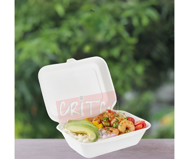 7X5 Bagasse Hinged Container-White