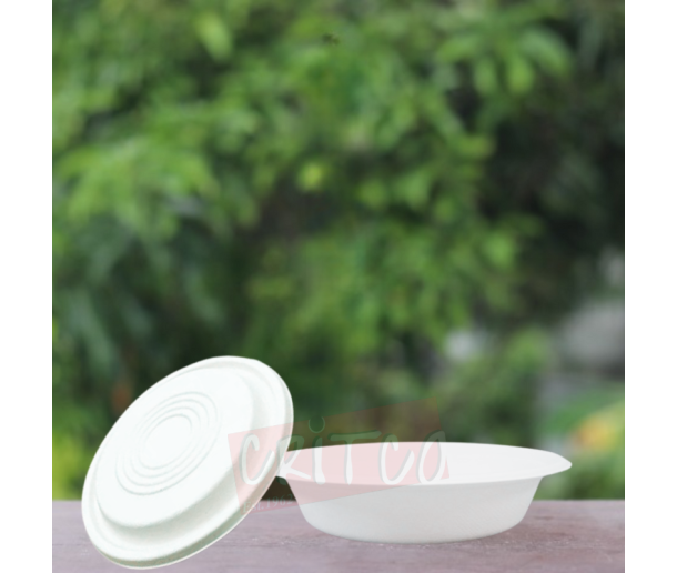 700ml Bagasse Bowl with lid