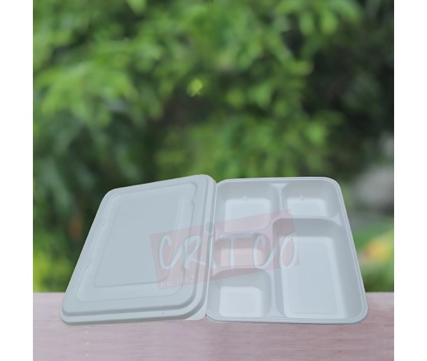 5 Compartments Bagasse Container w/lid