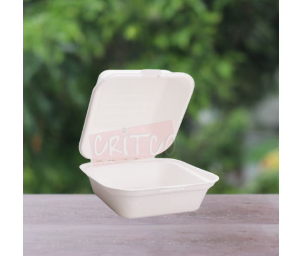 6X6X3.5 inch Bagasse Burger Box-White