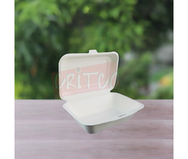 7X5 Bagasse Hinged Container-White