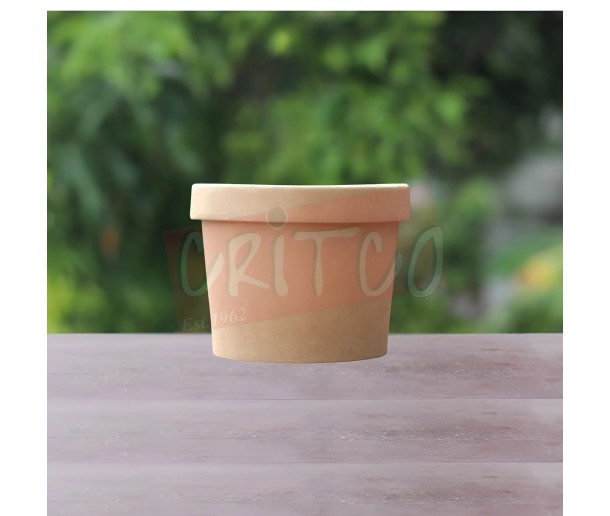 12oz Kraft Paper Soup Tub w/Kraft Lid