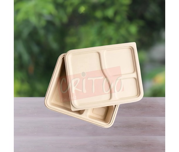 3compartment compostable Container w/Lid