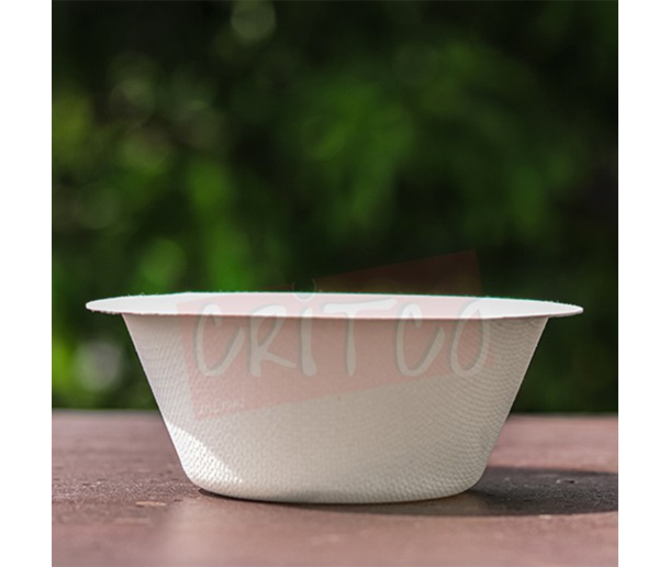 9oz Bagasse Bowl